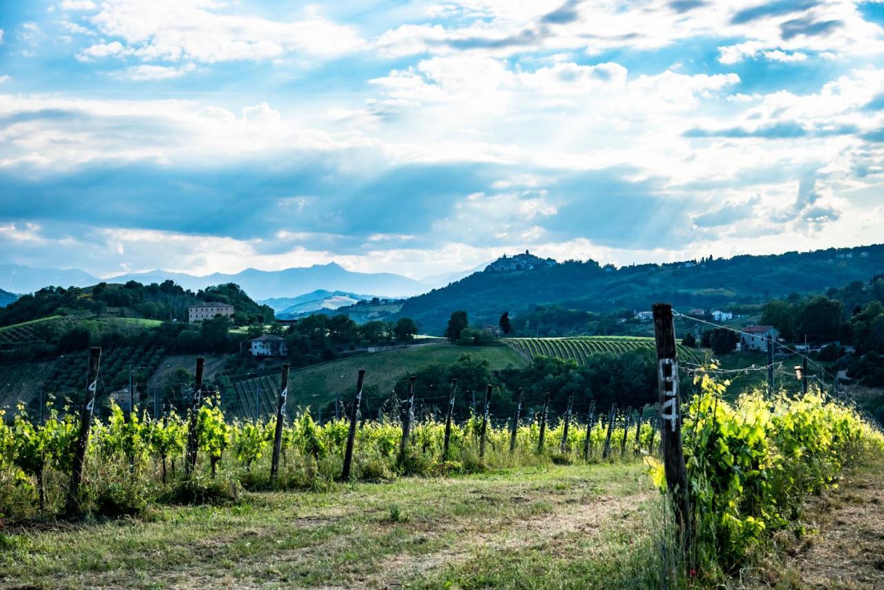 Recchi Franceschini Bike Hotel Last - Minute - Availability Montalto delle Marche 외부 사진