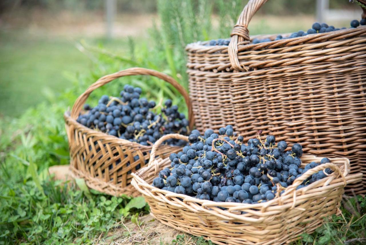 Recchi Franceschini Bike Hotel Last - Minute - Availability Montalto delle Marche 외부 사진