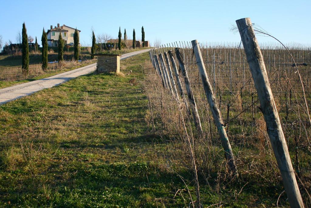 Recchi Franceschini Bike Hotel Last - Minute - Availability Montalto delle Marche 외부 사진