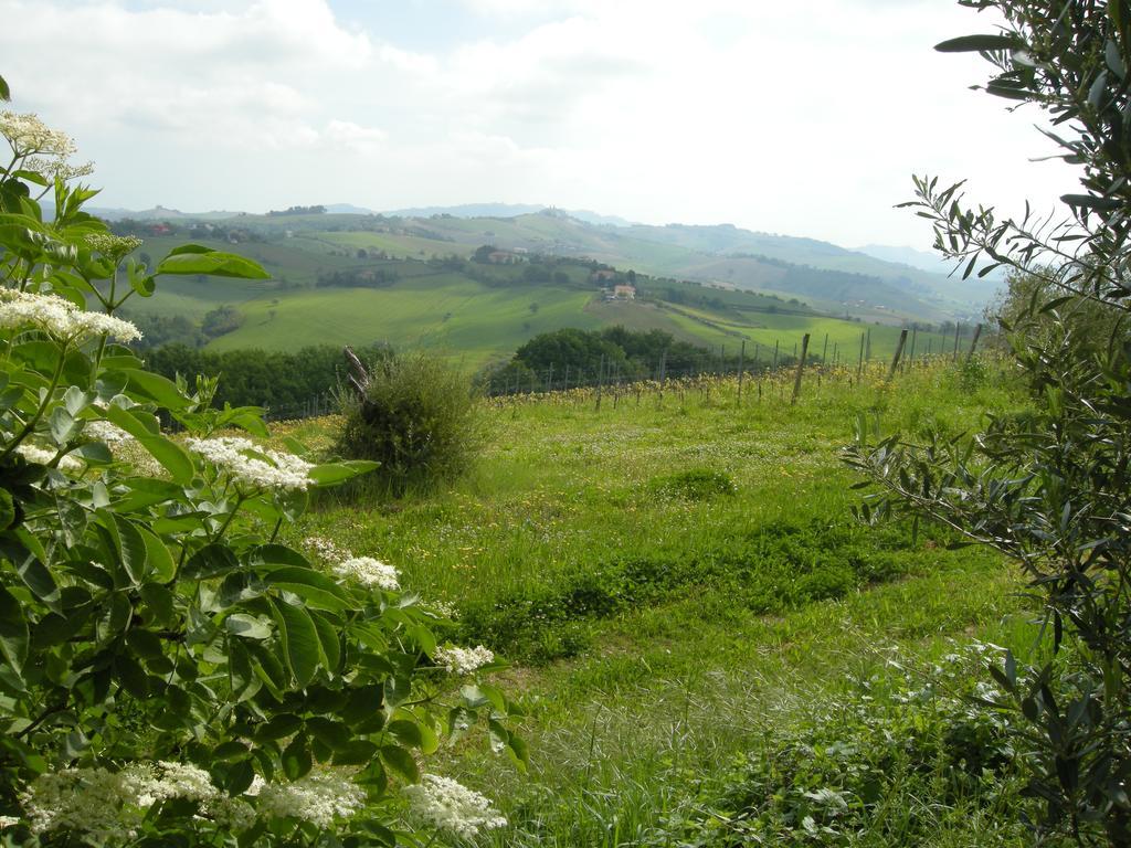 Recchi Franceschini Bike Hotel Last - Minute - Availability Montalto delle Marche 외부 사진